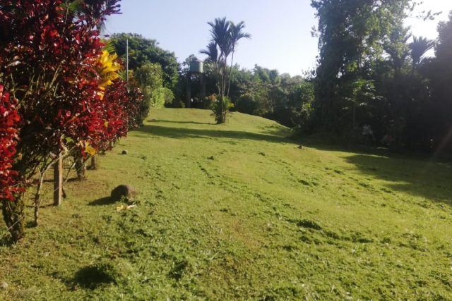 Se vende lote en Horquetas de Sarapiquí