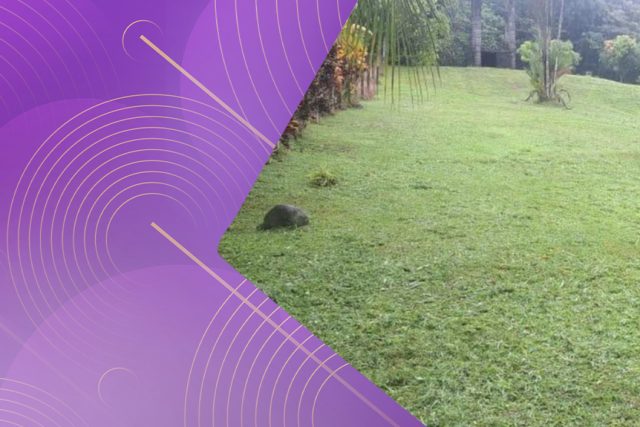 Lote en venta en Horquetas de Sarapiquí, – Plano, con servicios