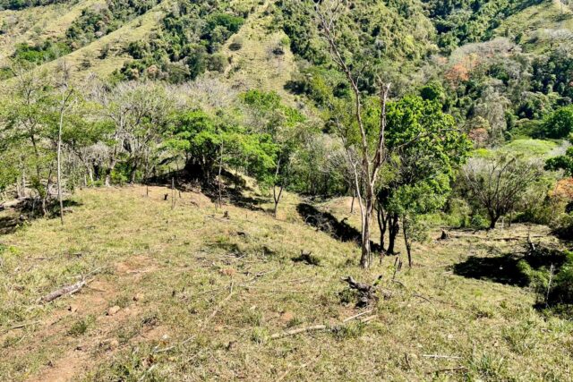 Se Vende Finca en Puriscal